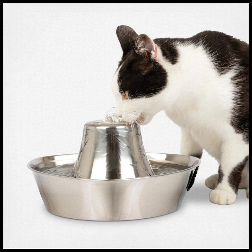 Pet Safe Premium Stainless Steel Cat Water Dispenser